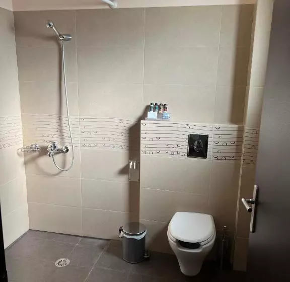 Fotos del hotel Aenaon:  4