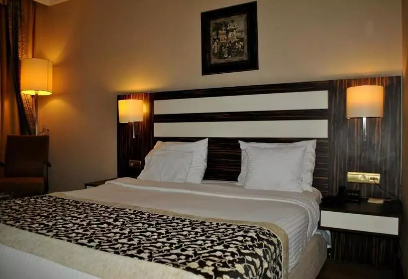 Fotos del hotel Akgun  Beyazit:  9