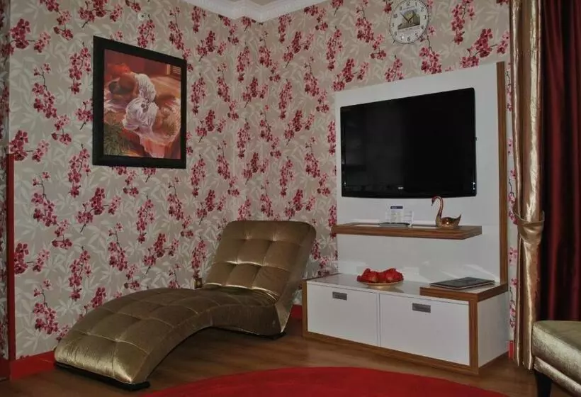 Fotos del hotel Akgun  Beyazit:  23