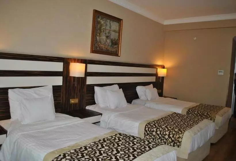 Fotos del hotel Akgun  Beyazit:  13