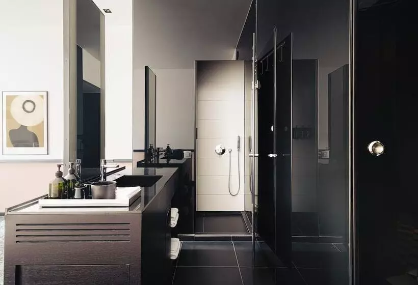 Fotos del hotel Sir Albert:  7