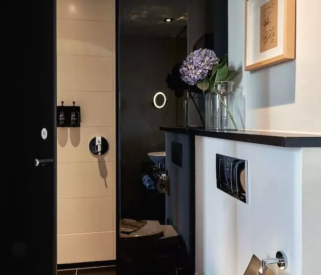 Fotos del hotel Sir Albert:  17