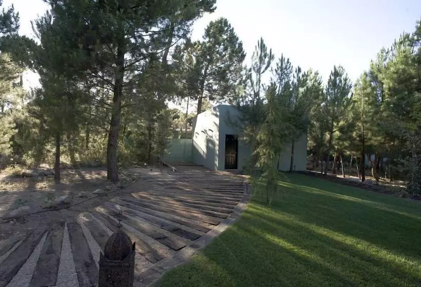 Fotos del hotel Boutique Pinar:  24