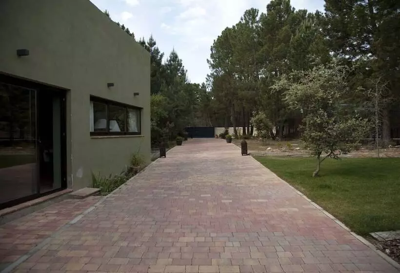 Fotos del hotel Boutique Pinar:  6