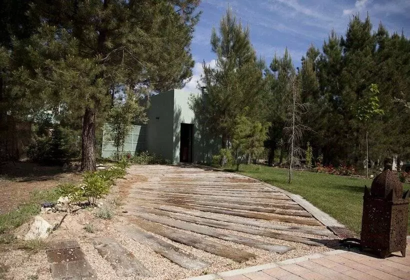 Fotos del hotel Boutique Pinar:  25