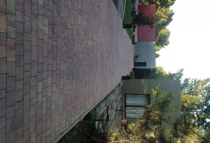 Fotos del hotel Boutique Pinar:  21