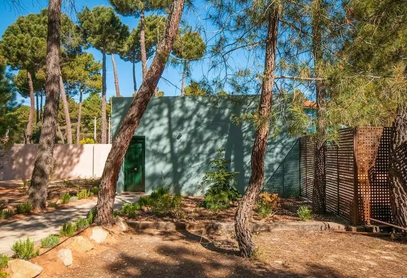 Fotos del hotel Boutique Pinar:  16