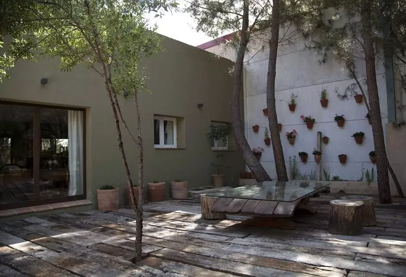 Fotos del hotel Boutique Pinar:  13