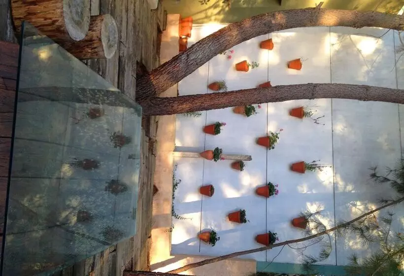 Fotos del hotel Boutique Pinar:  15