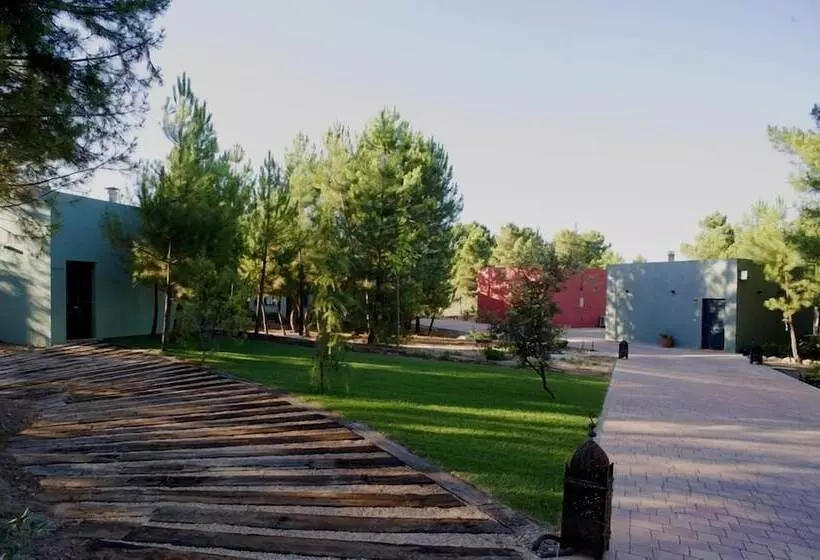 Fotos del hotel Boutique Pinar:  11