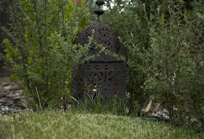 Fotos del hotel Boutique Pinar:  5