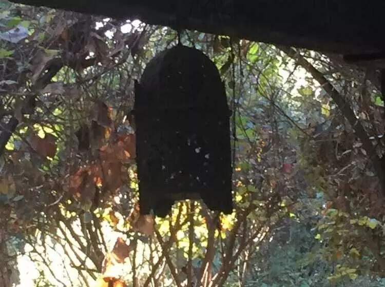 Fotos del hotel Boutique Pinar:  10