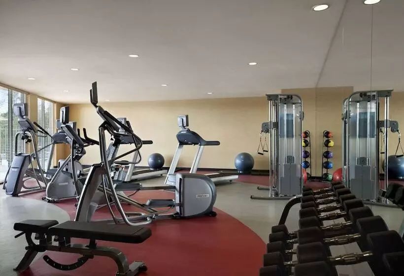 Fotos del hotel Cambria  Miami Airport  Blue Lagoon:  4