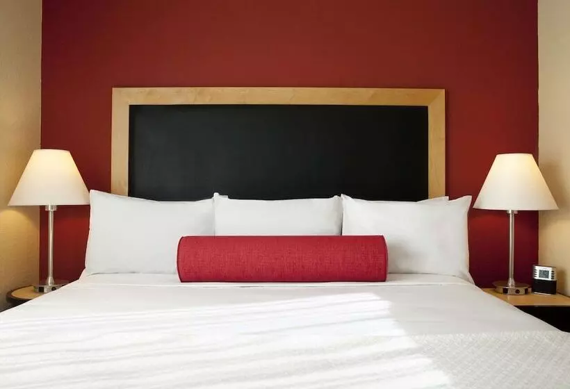 Fotos del hotel Cambria  Miami Airport  Blue Lagoon:  22