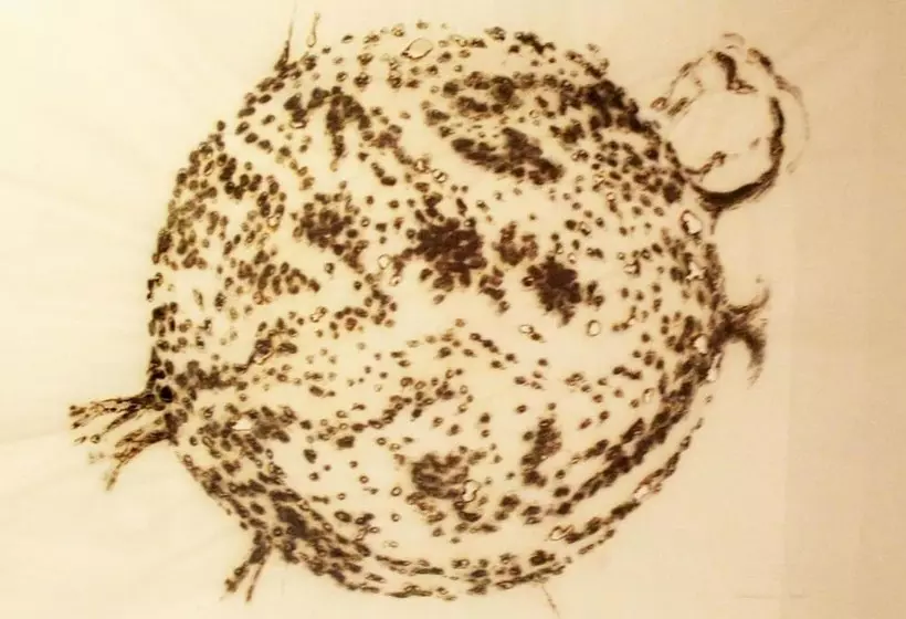 Fotos del hotel Culture Hotel Centro Storico:  7