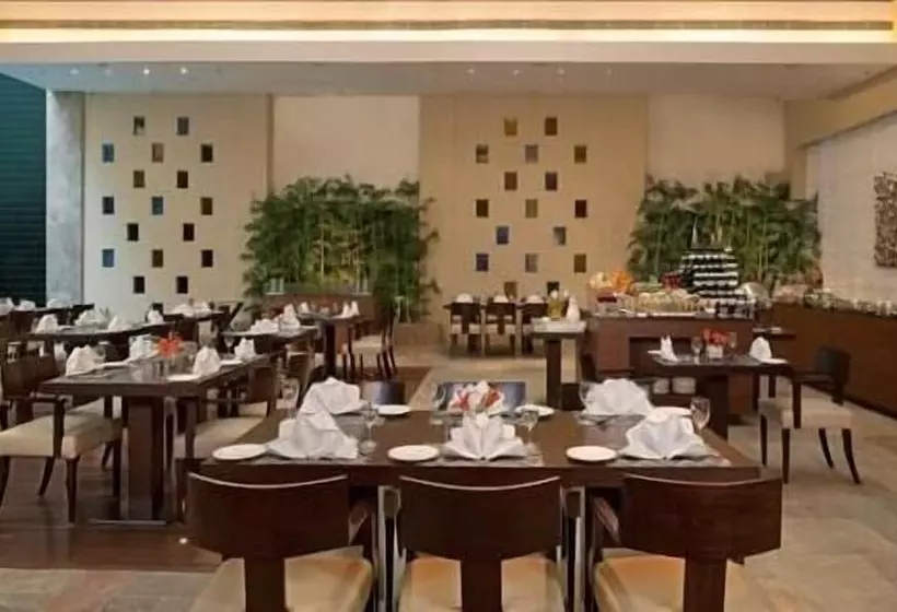 Fotos del hotel D Imperia:  11