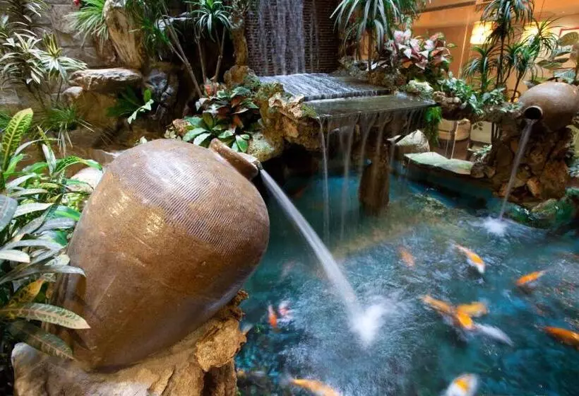 Fotos del hotel Deja Vu:  17