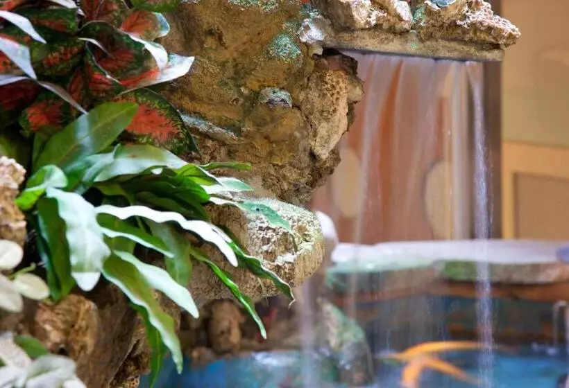 Fotos del hotel Deja Vu:  7