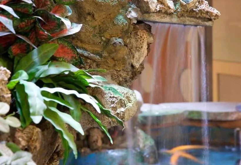 Fotos del hotel Deja Vu:  14