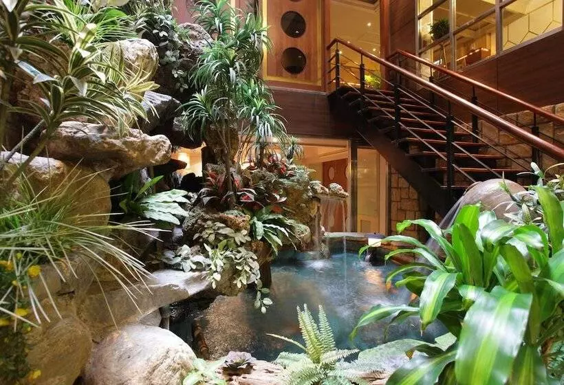 Fotos del hotel Deja Vu:  3