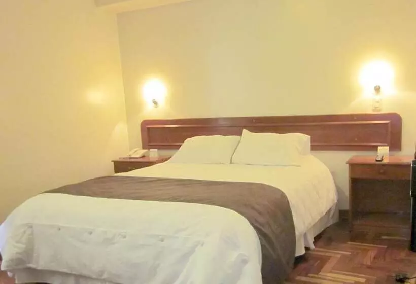 Fotos del hotel Emperador Plaza:  20