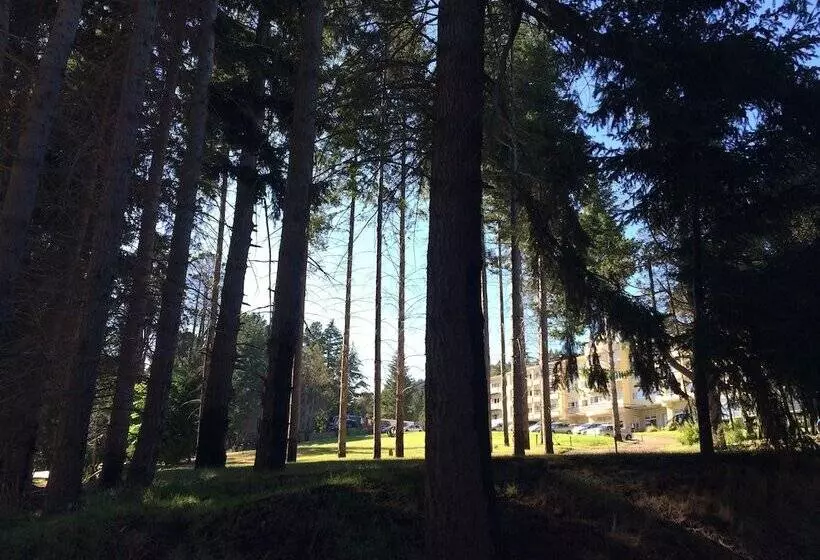 Fotos del hotel Huinid Pioneros:  17