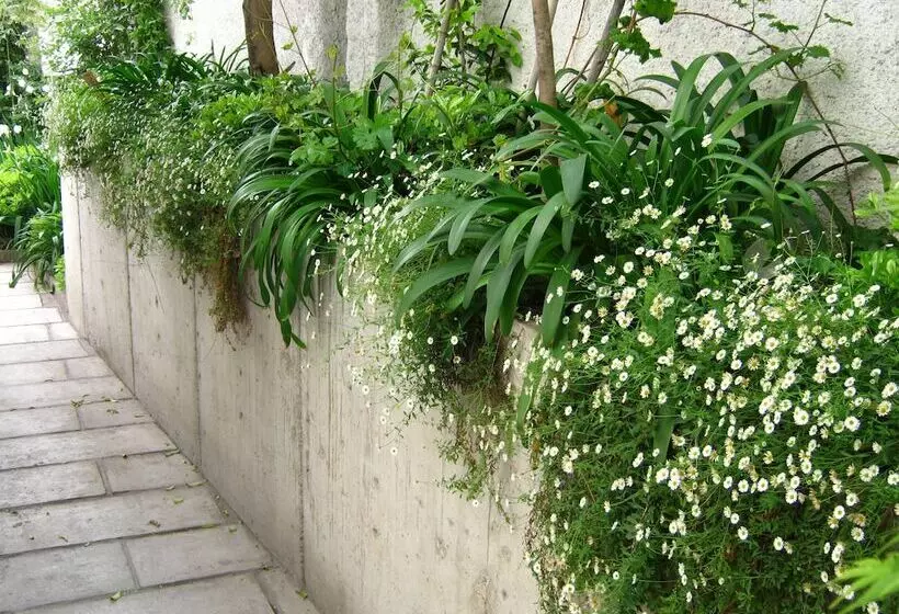 Fotos del hotel Meridiano Sur Petit:  2