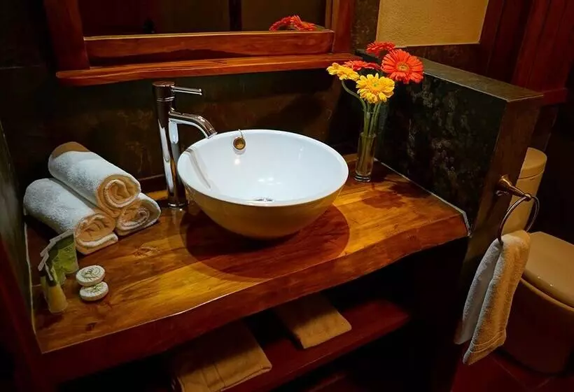 Fotos del hotel Pucon Green Park:  17