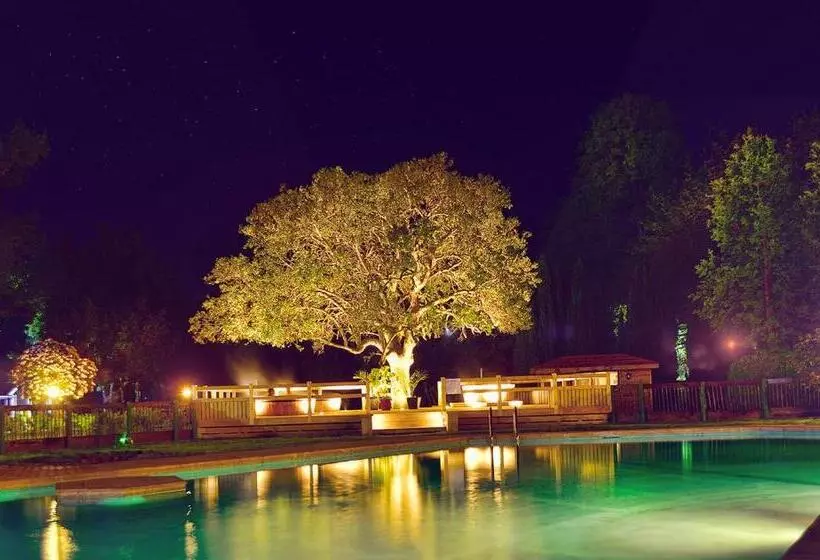 Fotos del hotel Pucon Green Park:  8