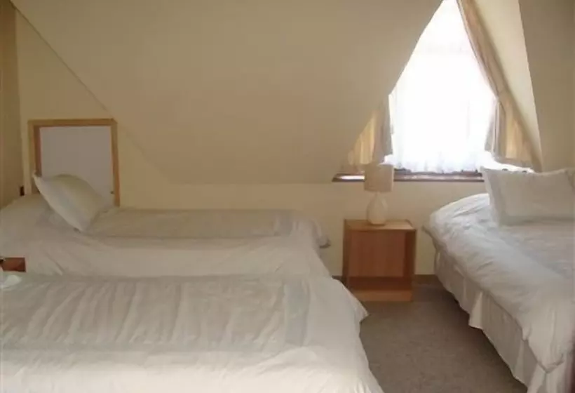 Fotos del hotel Seminario:  2