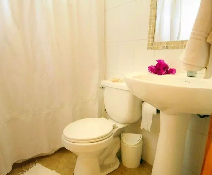 Fotos del hotel Cabanas Y Hotel Tea Nui:  7