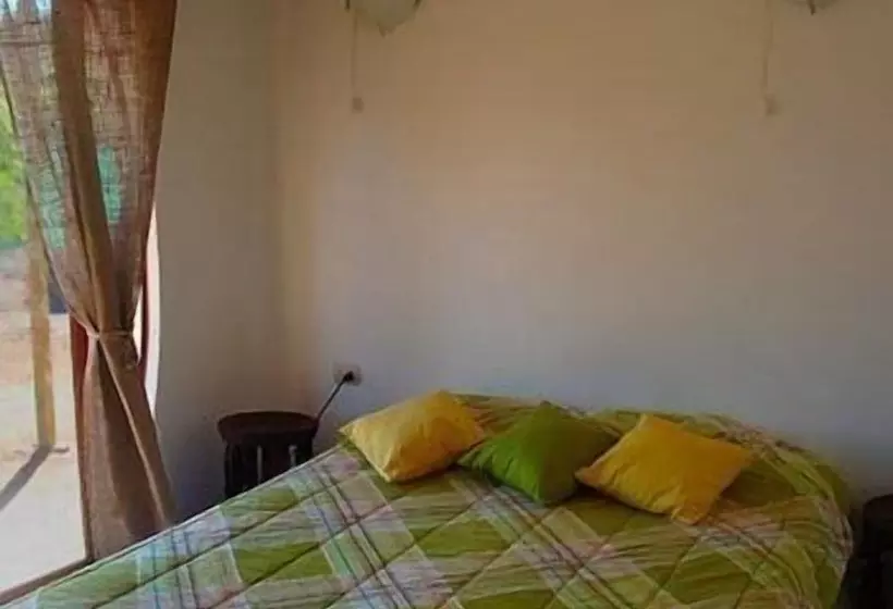 Fotos del hotel Cabanas Y Hotel Tea Nui:  20