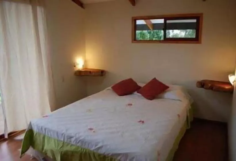 Fotos del hotel Cabanas Y Hotel Tea Nui:  5