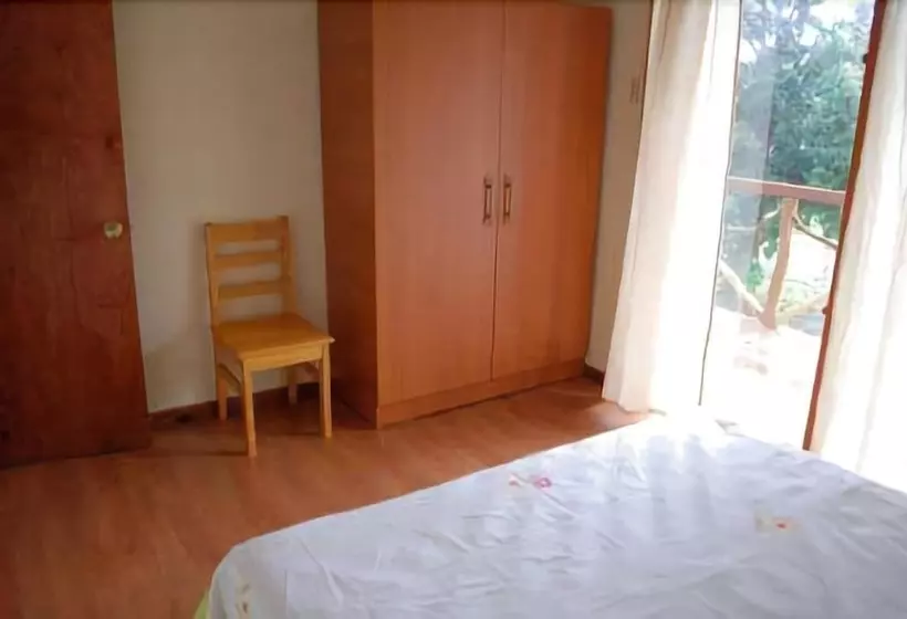 Fotos del hotel Cabanas Y Hotel Tea Nui:  19