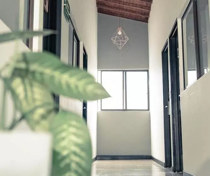 Fotos del hotel Mandala  Belen:  3