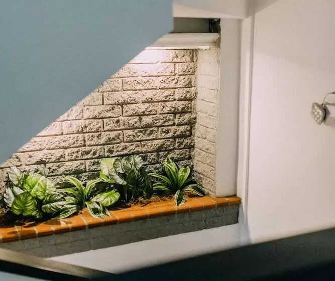 Fotos del hotel Mandala  Belen:  10