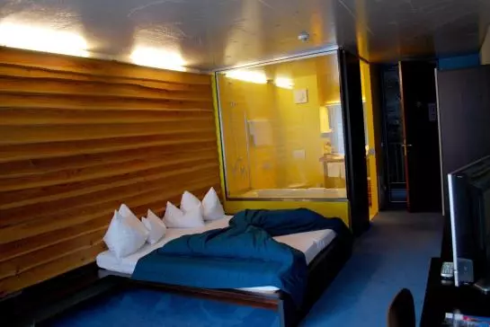 Fotos del hotel Lux Alpinae:  21