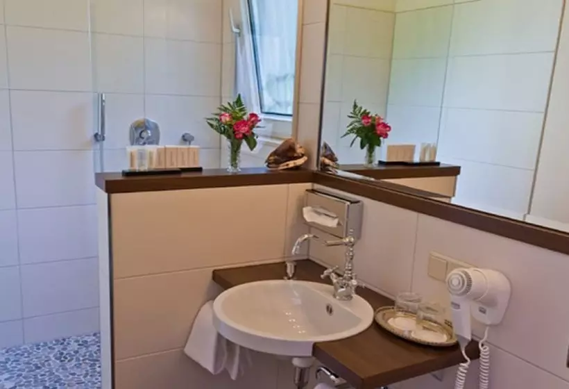 Fotos del hotel Villa Achenbach:  14