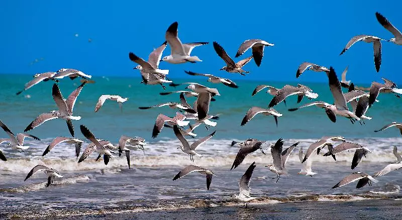 Fotos del hotel Aranwa Paracas Resort & Spa:  17