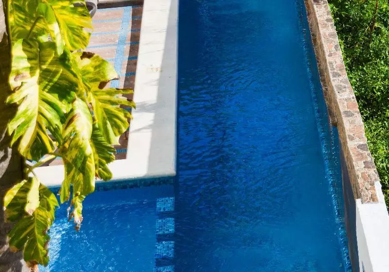 Fotos del hotel Casa Melissa:  8