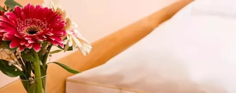 Fotos del hotel Park  La Grave:  5