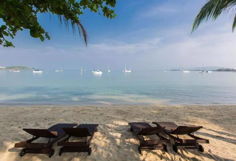 Fotos del hotel Villa Tanamera:  16