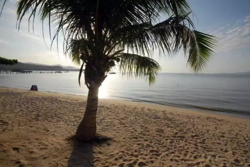 Fotos del hotel Villa Tanamera:  22