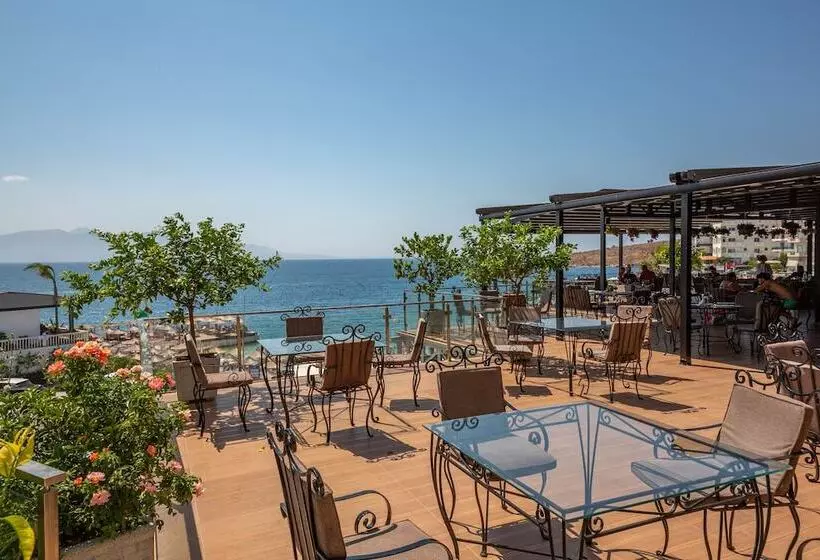 Fotos del hotel Apollon:  4