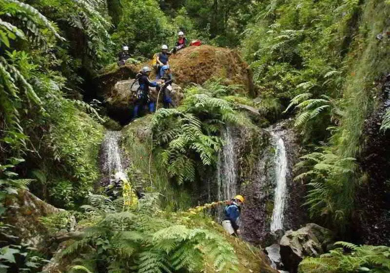 Fotos del hotel Aqua Natura Madeira:  3