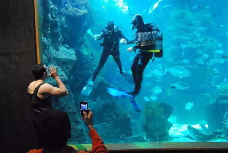 Fotos del hotel Aqua Natura Madeira:  7