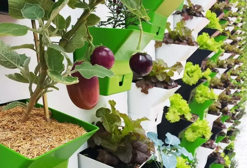 Fotos del hotel Bio Organic Suites:  6