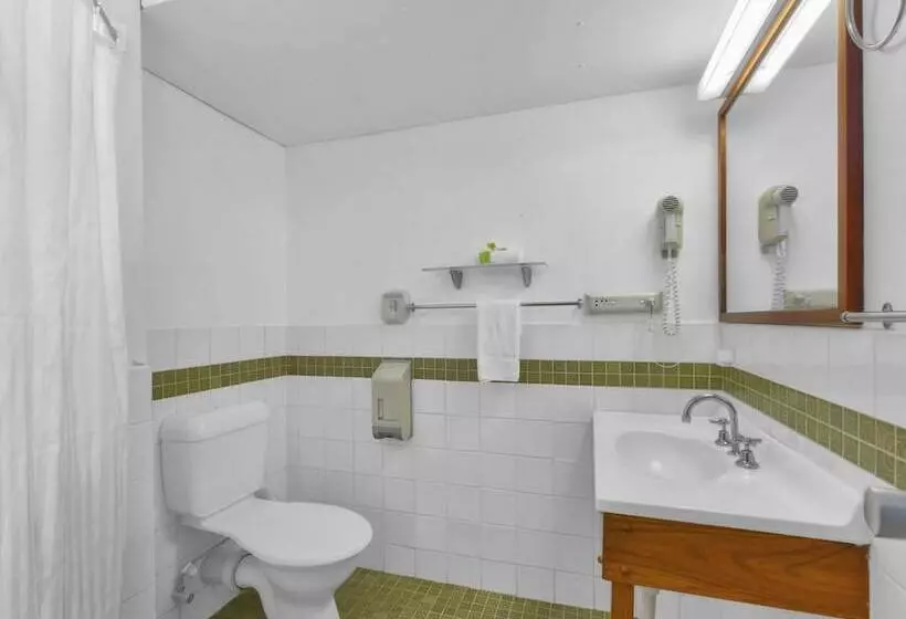 Fotos del hotel Camden Motor Inn:  5