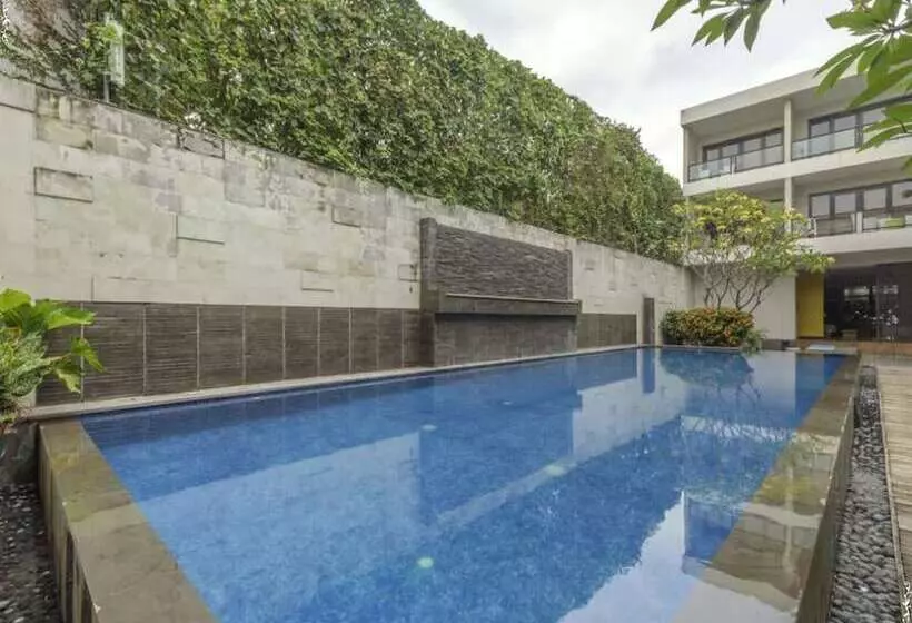 Fotos del hotel Dekuta:  2