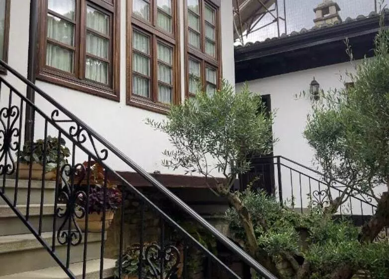 Fotos del hotel Mangalemi:  12